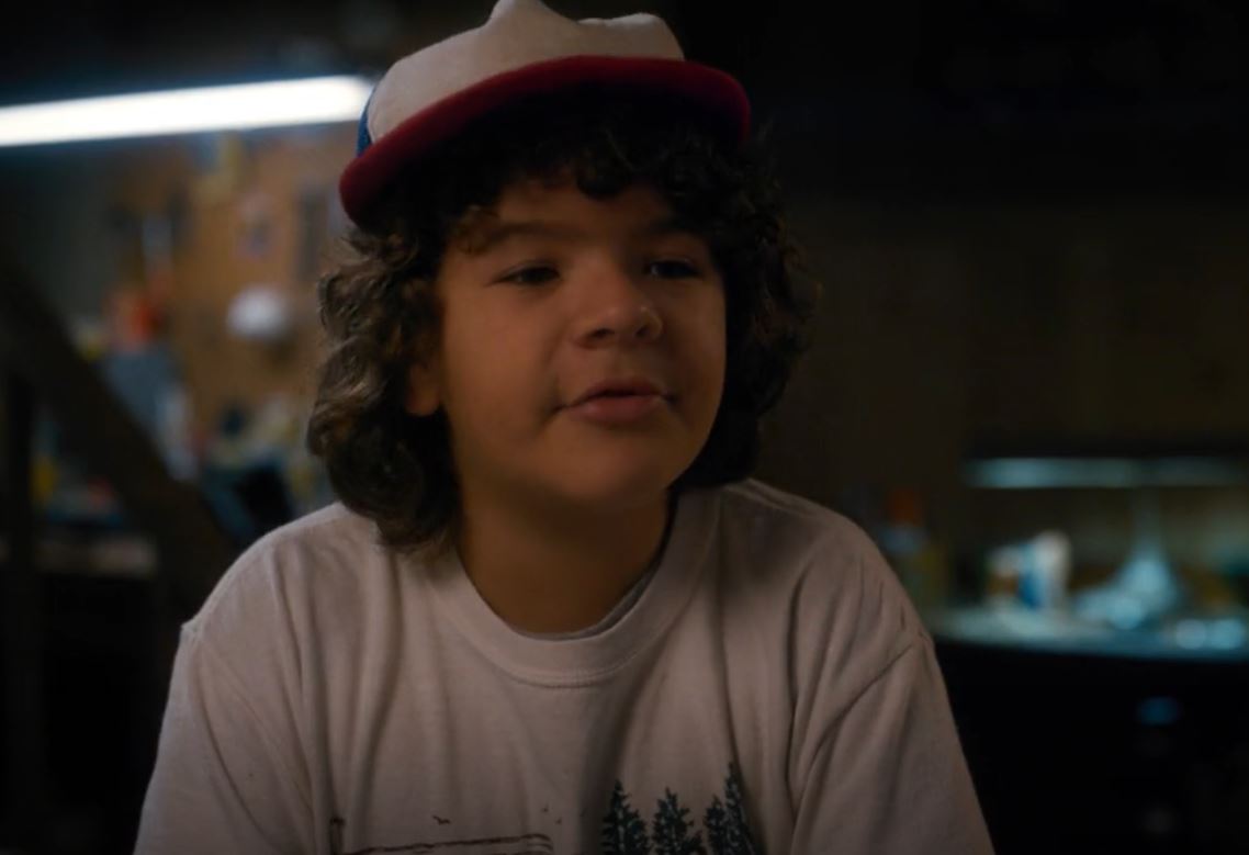20 Best Quotes From Stranger Things That Made It Heartfelt And Legendary | From Hawkins To Upside Down: Iconic Quotes From Stranger Things | Dustin Henderson