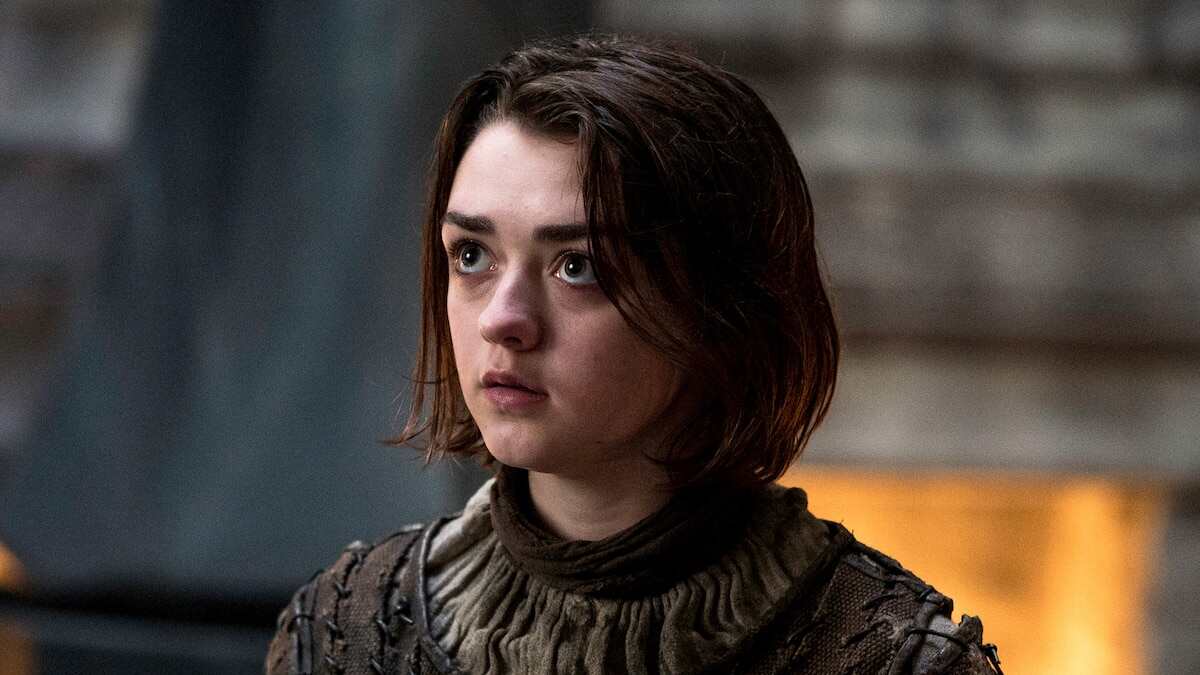 The North Remembers | Mistakes Made By Every Stark In Game Of Thrones | How the Starks Lost the Game of Thrones