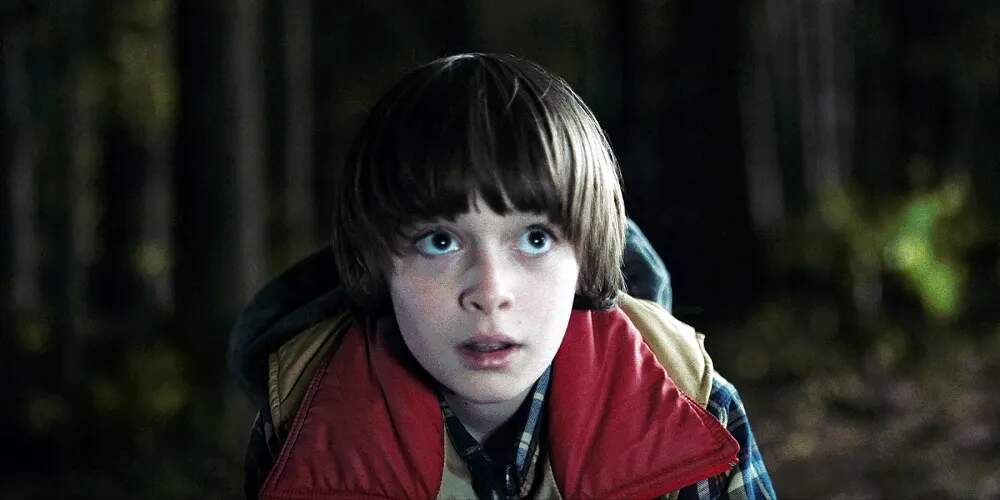 14 Stranger Things Characters Who Suffered the Most | These Stranger Things Characters Had the Toughest Journey | Will Byers