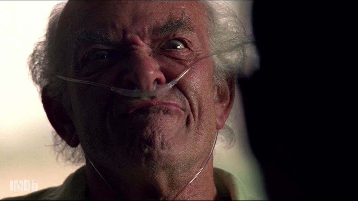 Breaking Bad Turned Ordinary People Into Villains | The Evolution of Evil Characters in Breaking Bad | Hector Salamanca