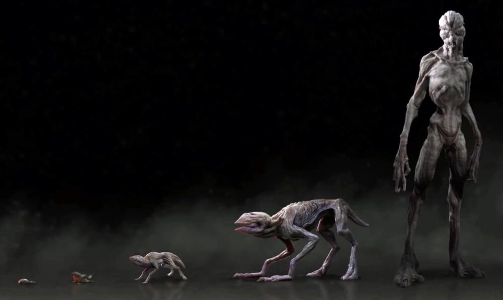 All Stranger Things Monsters and Creatures Explained | Inside the Upside Down: All the Terrifying Monsters of Stranger Things | The Demodogs